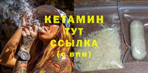 твердый Новодвинск