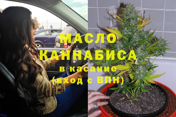 индика Новозыбков
